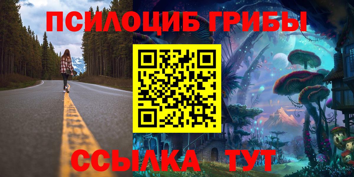 Псилоцибиновые грибы Psilocybe Гусиноозёрск