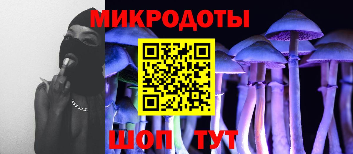 Псилоцибиновые грибы прущие грибы Гусиноозёрск